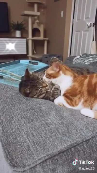 <3