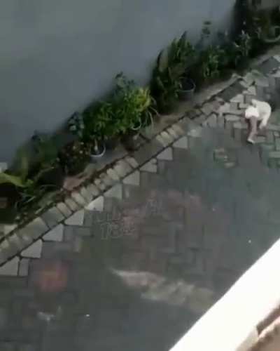why?
