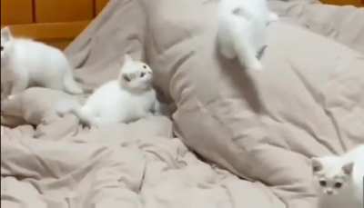 When they find out I make a mean breakfast.