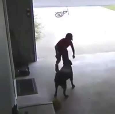 Boy sneaks into neighbor's garage to give their dog a hug