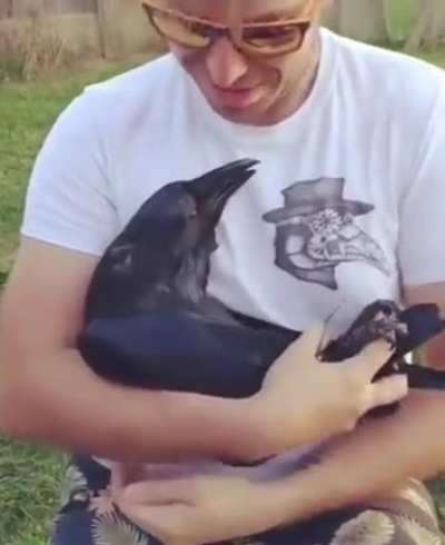Unusual "cat"