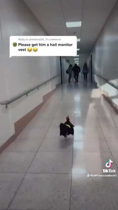 Hall monitor