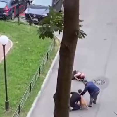 This man protecting his old dog with his own body from the attack of two american staffordshire terriers