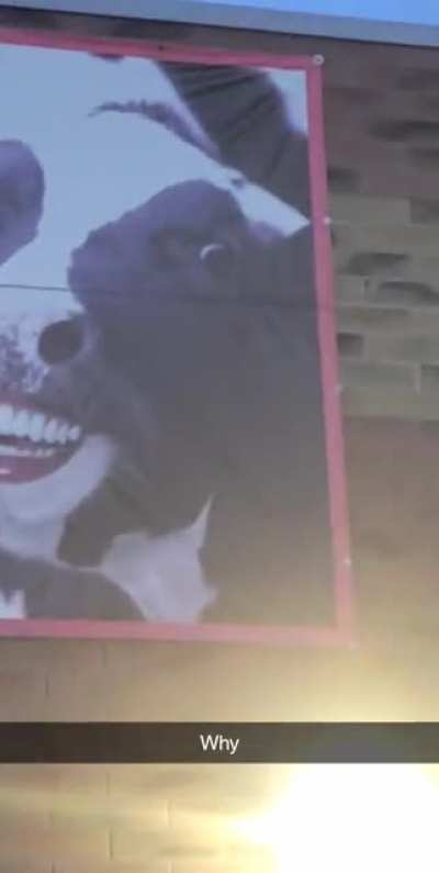 Smile!!?
