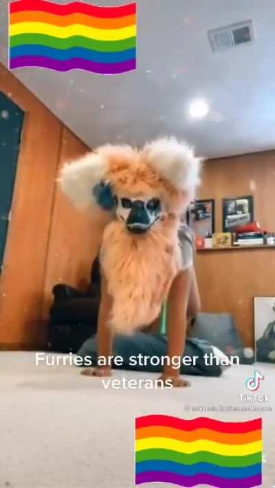 Furries are stronger than veterans