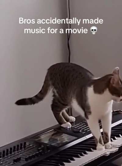 maybe maybe maybe