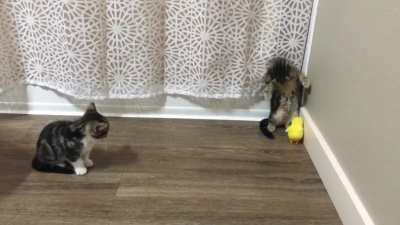 There’s no escape!