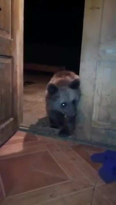 A friend is at the door