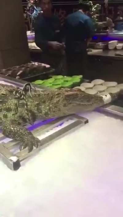 Nothing but sushi