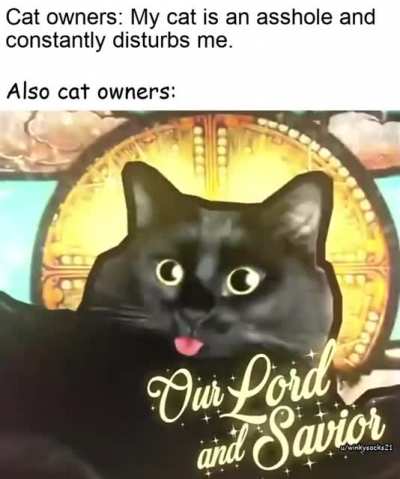 Cats are great