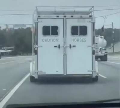 Horses