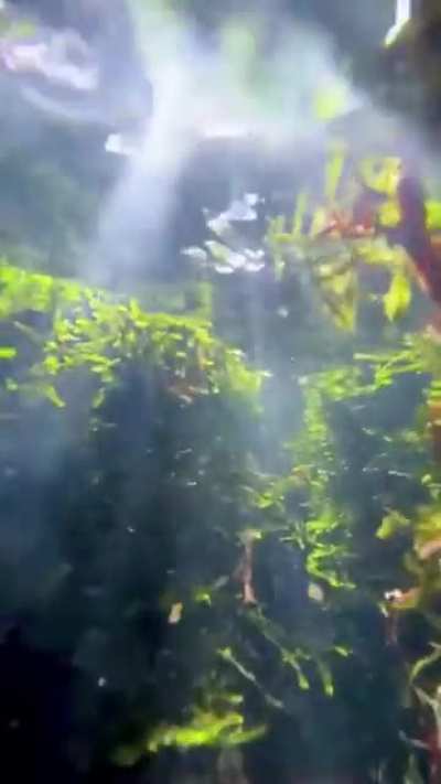 Pretty cool shot, don't you think?