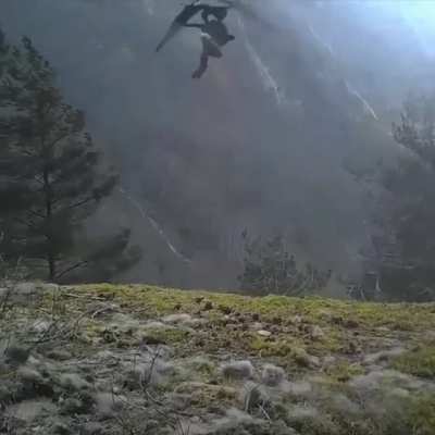 ? Golden eagle flies away with a fox