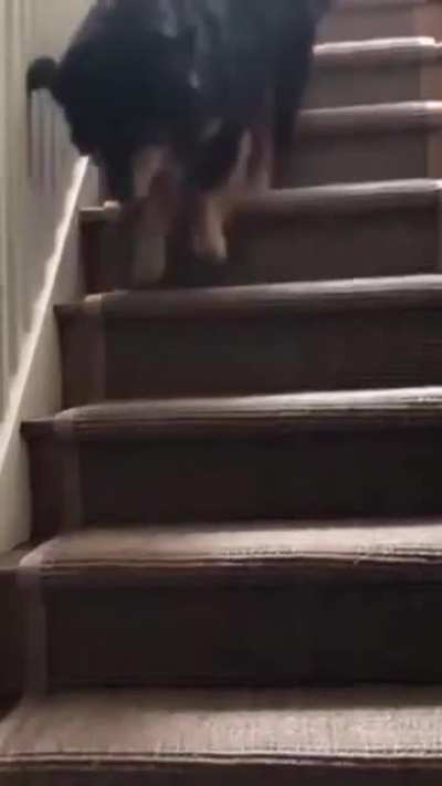Going down the stairs in style