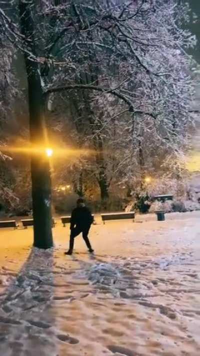 Winter Wonderland