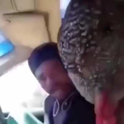 "ayy yall look at this motherfucker"