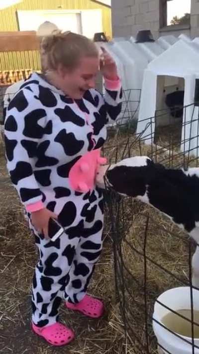 The cow thought she was the mother cow ?
