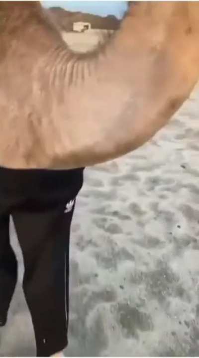 Maybe maybe maybe
