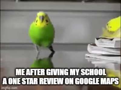 The anonymous review