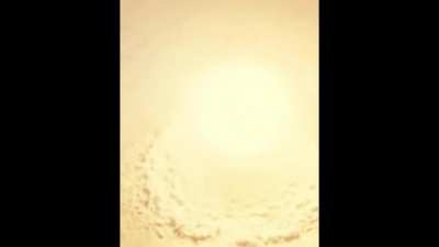 Cats sneeze almost destroys earth
