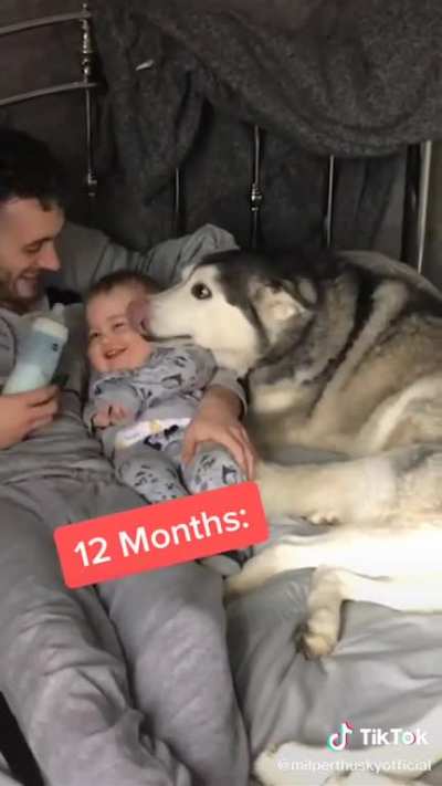 What a good dog!