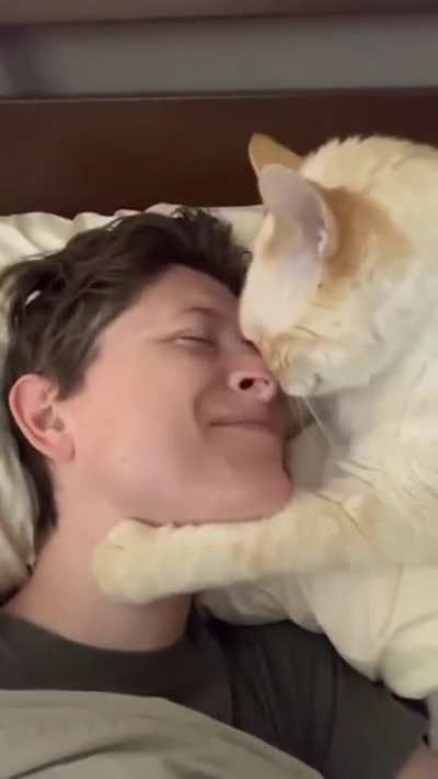 She needs nose kissies ?❤️