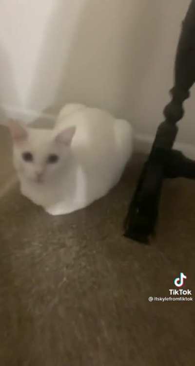 Loaf check