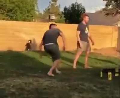 Playing with the ball