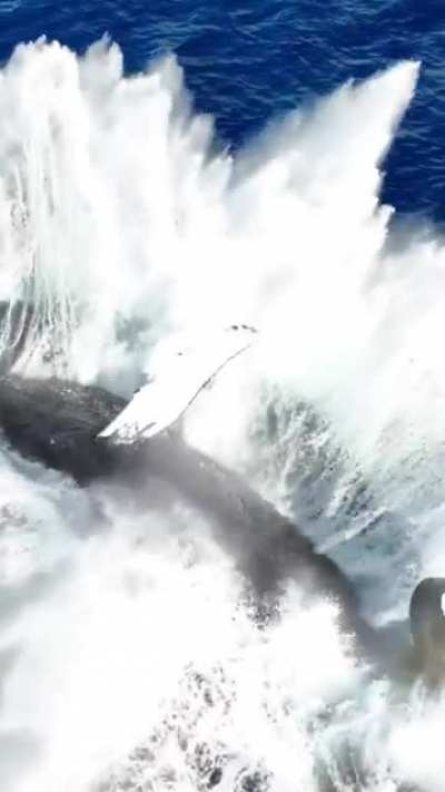 ?Just A Humpback Whale Breaching...