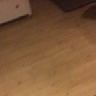 My dog excited after I’ve been in the military for months and finally come home