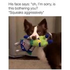 r/cute