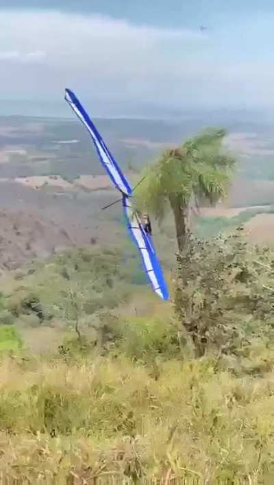 Soaring, flying!