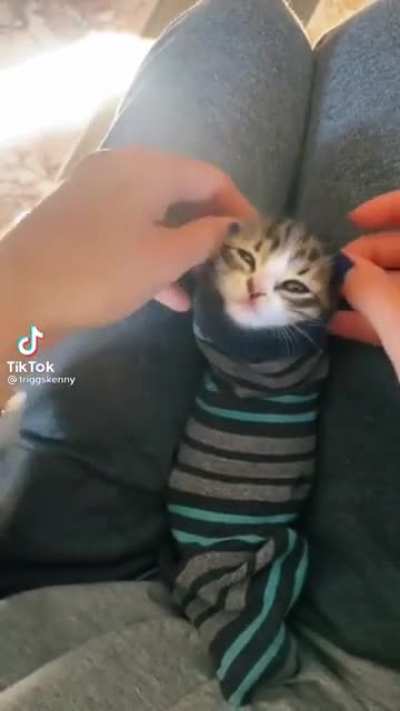 Oooh?