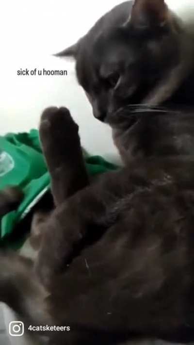 he makes the derpiest faces ?