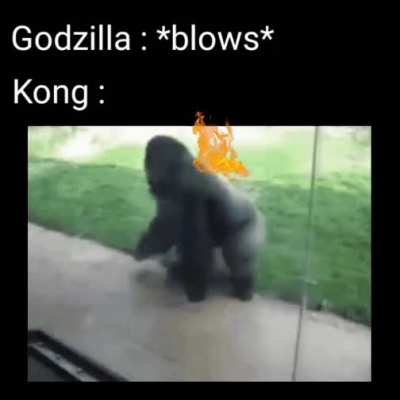 Monke ?