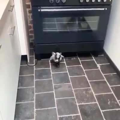 You bought a house and this happens. What do you do?