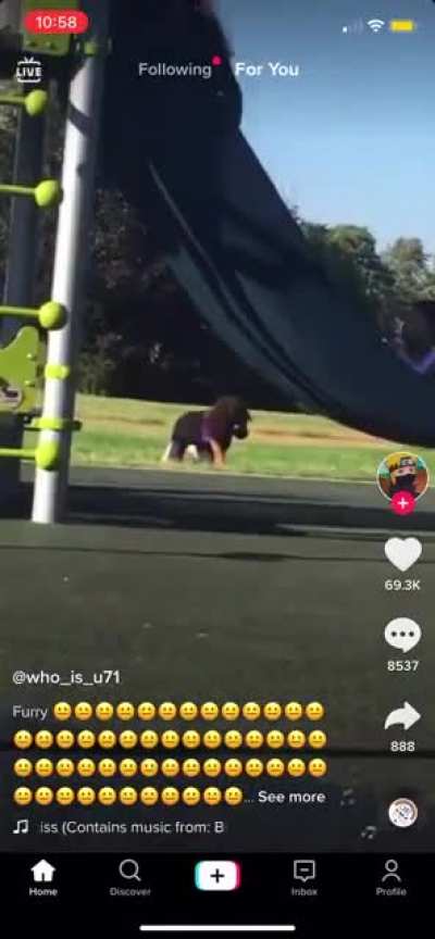Furry in the playground