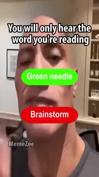 What the fuck is this
