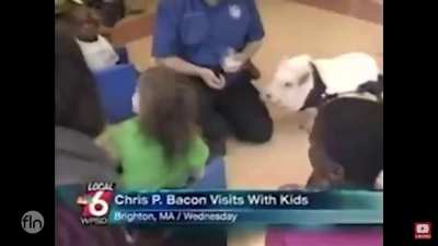 Chris P. Bacon ?