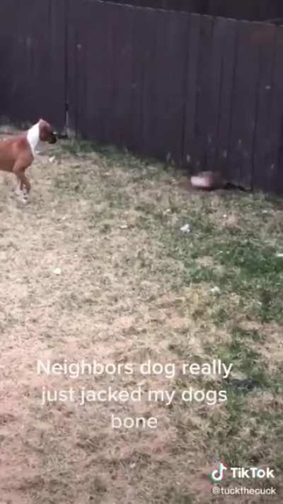 He do be stealing