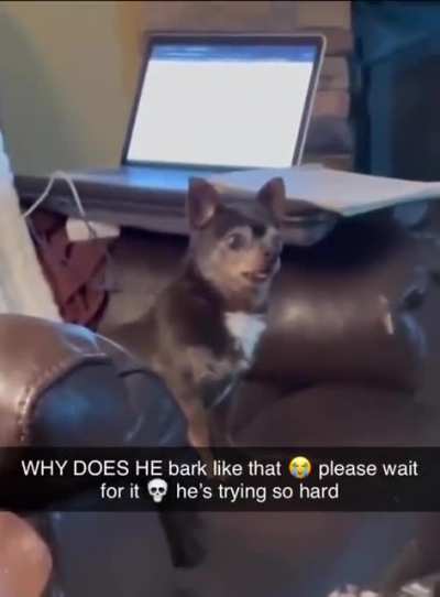 Bro about to die from a stroke ???