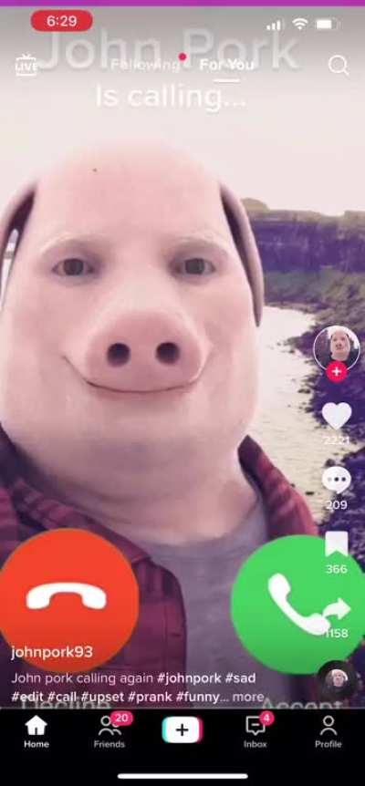 TikTok a fever dream ?