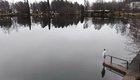 Time to take a dive
