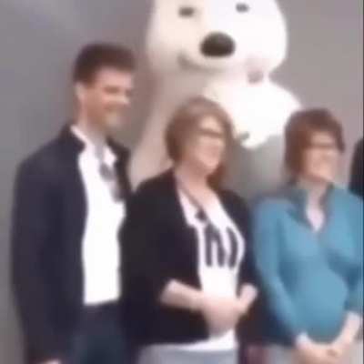 Bear.