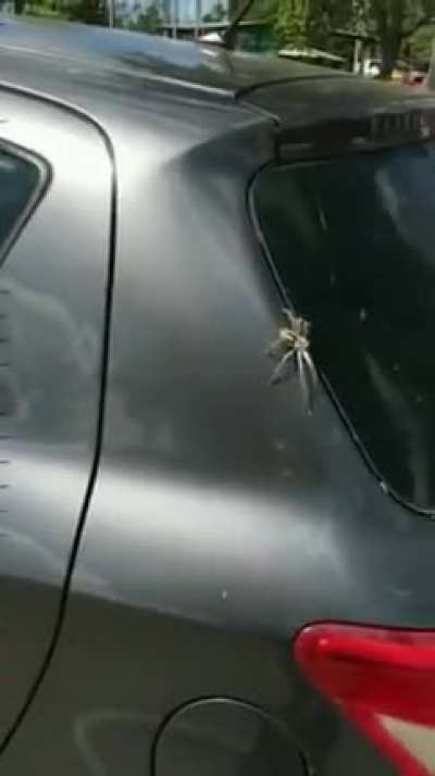 Just when you're about to set your car on fire...