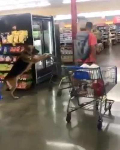 Man's best friend!