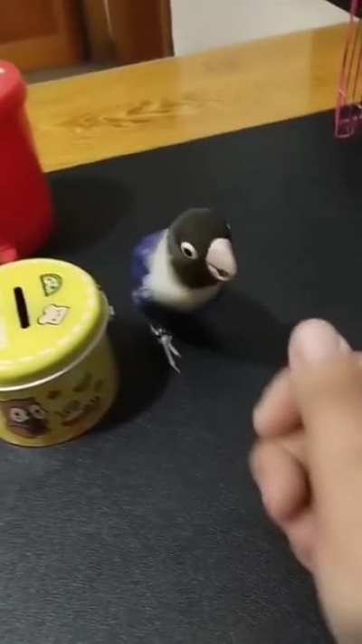 Even birds know not to litter. Please pick up your trash.