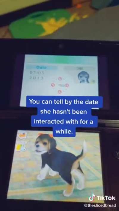 Wholesome Nintendog adoption story ?