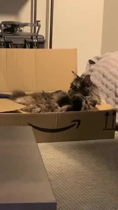 Genuine footage of an Amazon delivery driver in his free time…