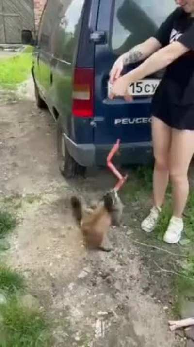 Gone in 2 seconds